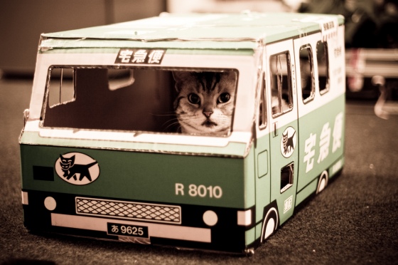 cat-driving-bus.jpg