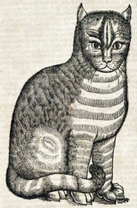 The Paris Review - Christopher Smart Loved His Cat