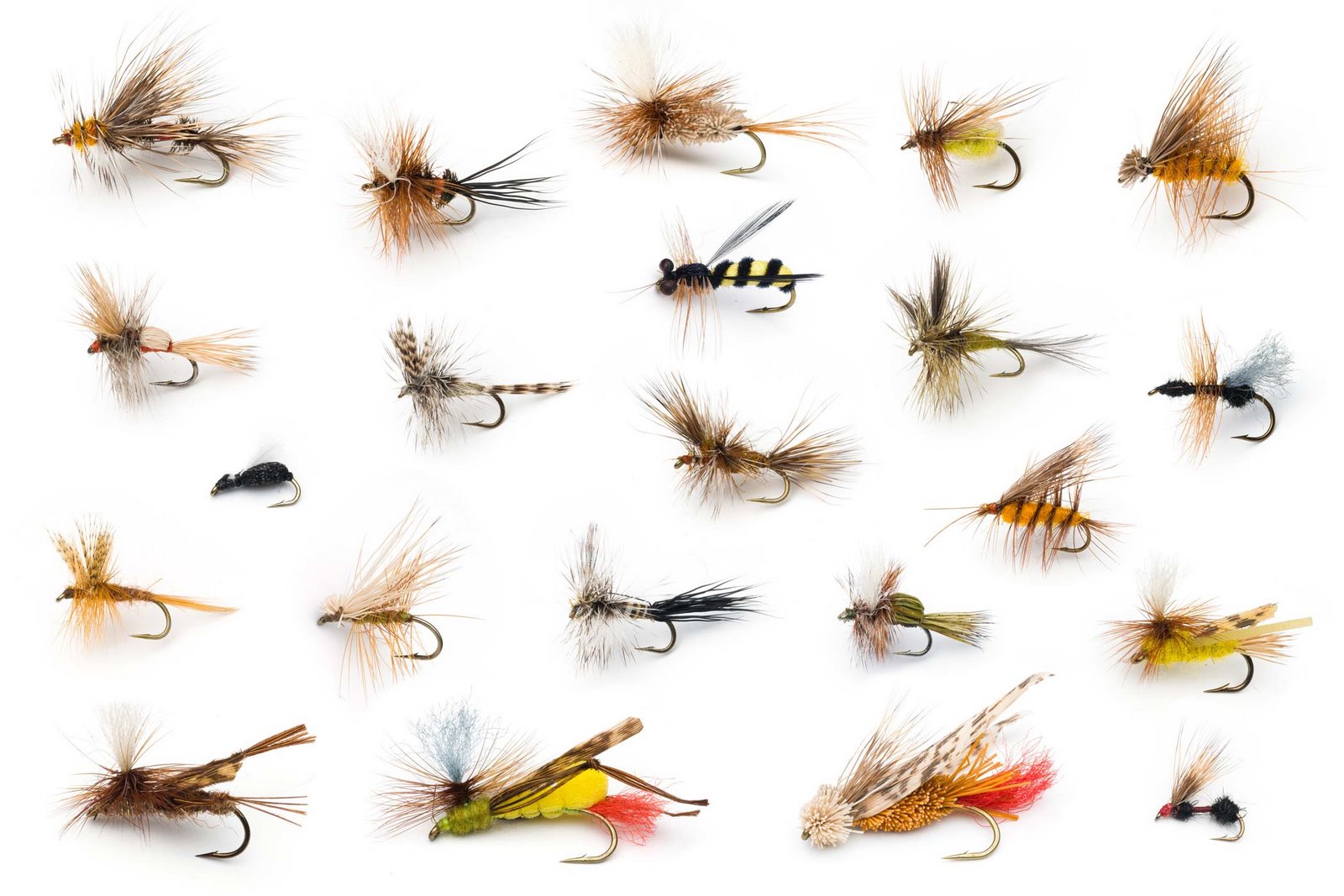 Dry Fly Patterns for Fly Fishing - The Fly Project