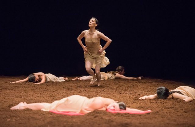 The Paris Review Pina Bausch S The Rite Of Spring