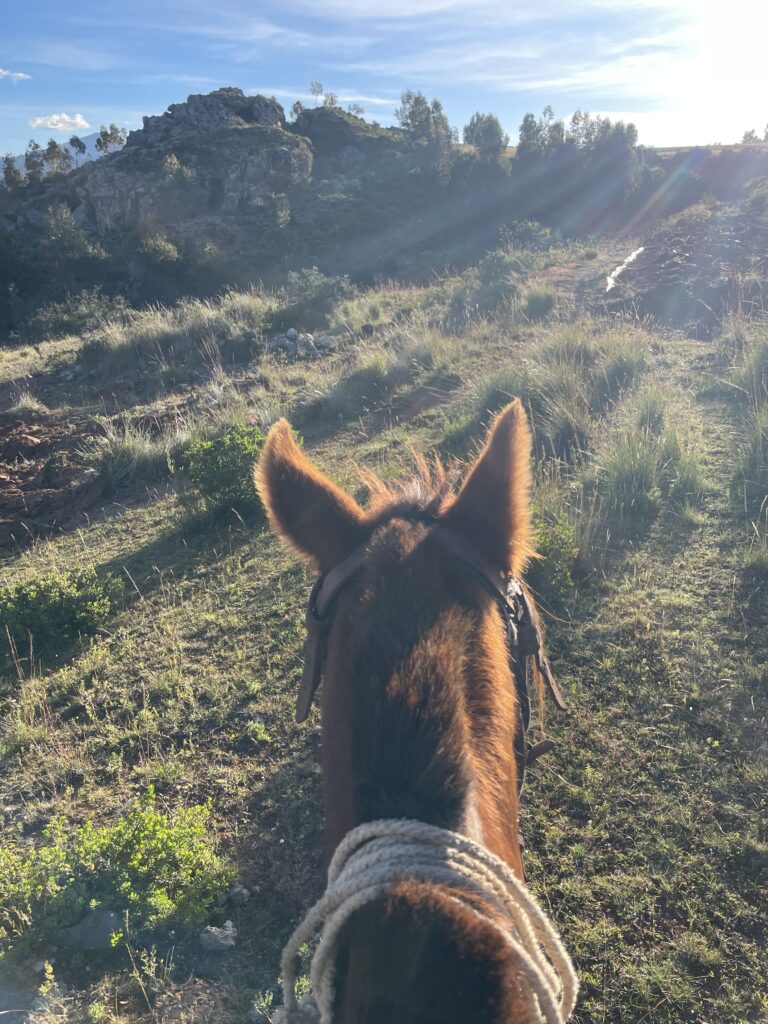 view from atop a beloved horse