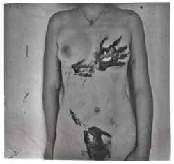 Fugitive Photographs
