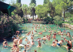Bathers
