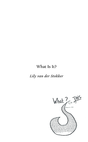 What Is It?