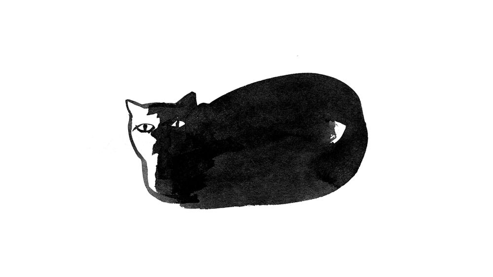 Paris Review - Cat in Portrait