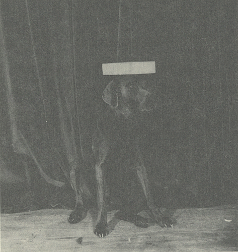 Man Ray